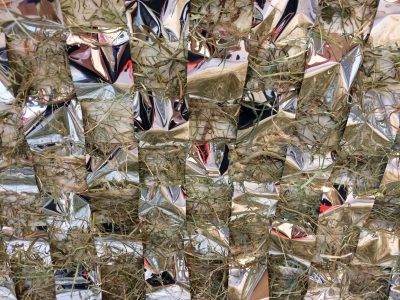 BIOMATERIAL EXPERIMENT